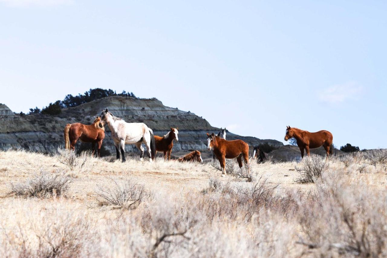 Badlands Suite Less Than 1 Mi To Teddy Roosevelt Park! Medora Exteriér fotografie