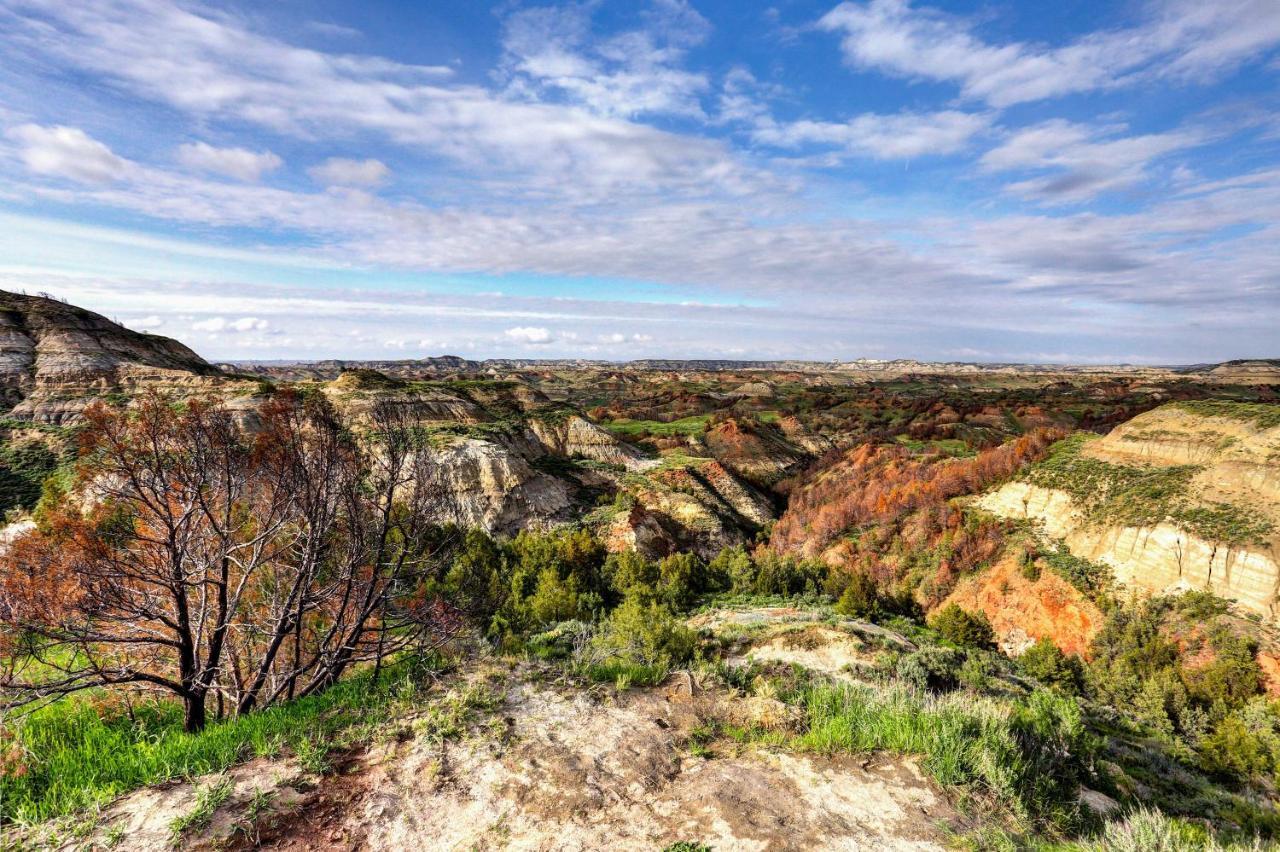 Badlands Suite Less Than 1 Mi To Teddy Roosevelt Park! Medora Exteriér fotografie