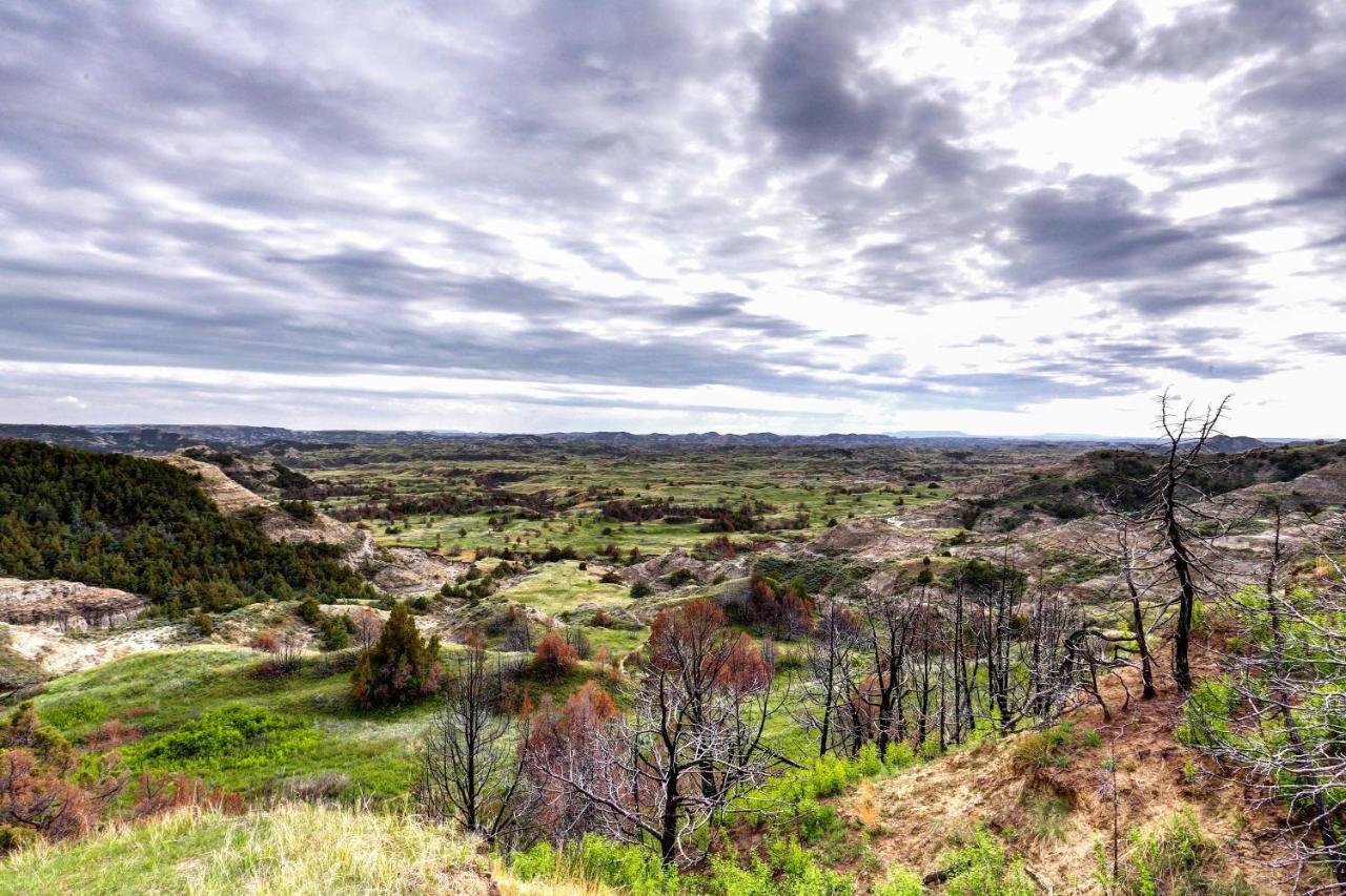 Badlands Suite Less Than 1 Mi To Teddy Roosevelt Park! Medora Exteriér fotografie